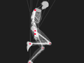 Wireframe Skeleton