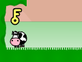 Adventures of a Cow