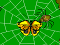 Spiders