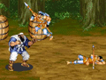 Dynasty Warrior