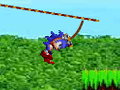 Sonic In Angel Island