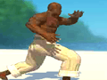 Capoeira Fighter