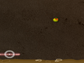 Worm
