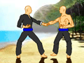 Pencak Silat