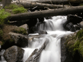 Forest Waterfall