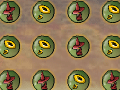 The Hidden Rings