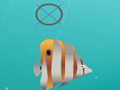 Shoot Fish