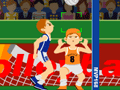 Volleyball