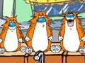 Feed the Cat