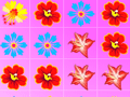 Flower Frenzy