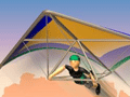 Canyon Glider