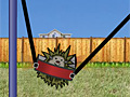 Hedgehog Launch