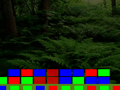 Jungle Crash