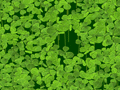 LogLod.Com Games - Lucky Clover
