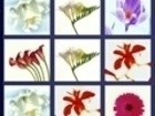 QuickPic 2005