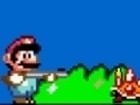 Mario Rampage