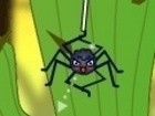 SpiderWeb